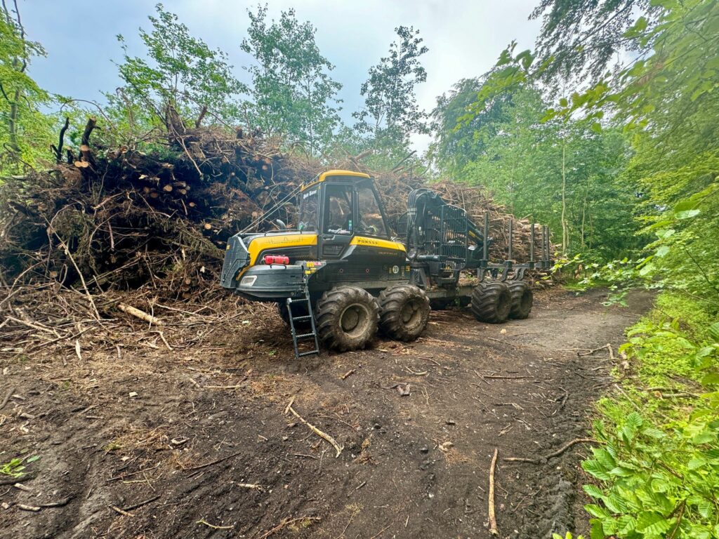 Forwarder im Wald